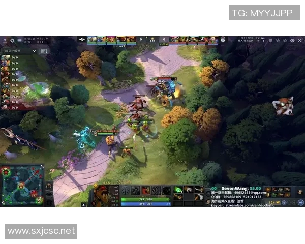 dota2omega比赛视频-Dota 2 Omega比赛视频，激情与策略的碰撞-dota2omega比赛视频