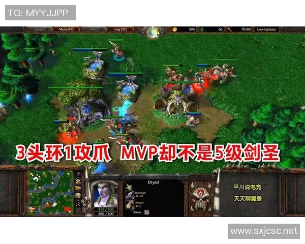 魔兽比赛奖金-魔兽争霸比赛奖金，从数千元到数百万的重大盛宴-魔兽比赛奖金